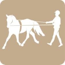 Le tact équestre et le travail du cheval.
