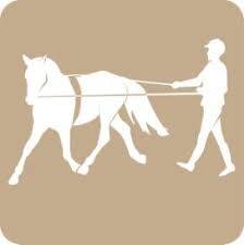 Le tact équestre et le travail du cheval.